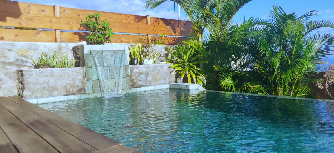 Cascade d'eau et jardin tropical au bord de la piscine