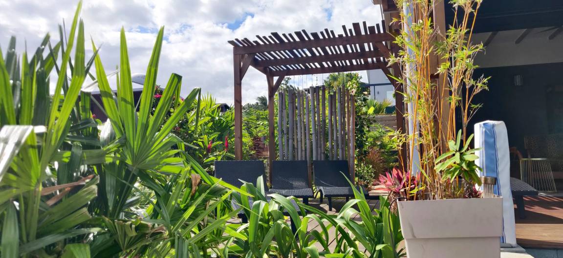 Jardin tropical luxuriant et pergola en bois avec bains de soleil